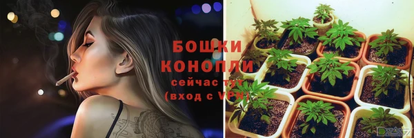 крисы Богданович