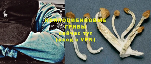mdpv Богородицк