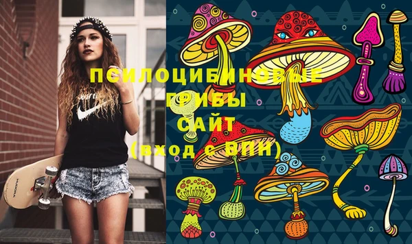 крисы Богданович