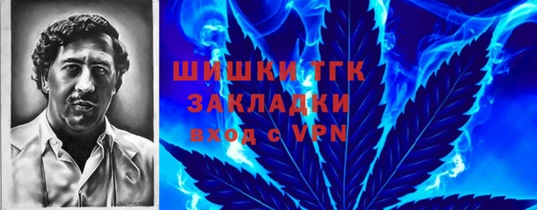 mdpv Богородицк