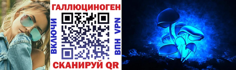 дарк нет какой сайт  что такое   Комсомольск-на-Амуре  Псилоцибиновые грибы ЛСД 